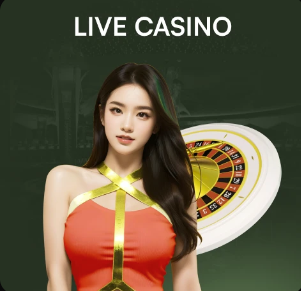 金刚弹珠赛车官网入口